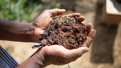 Fertilizante ecológico compuesto de microorganismos efectivos (EM) realizado con productos procedentes de una granja, en Burkina Faso.