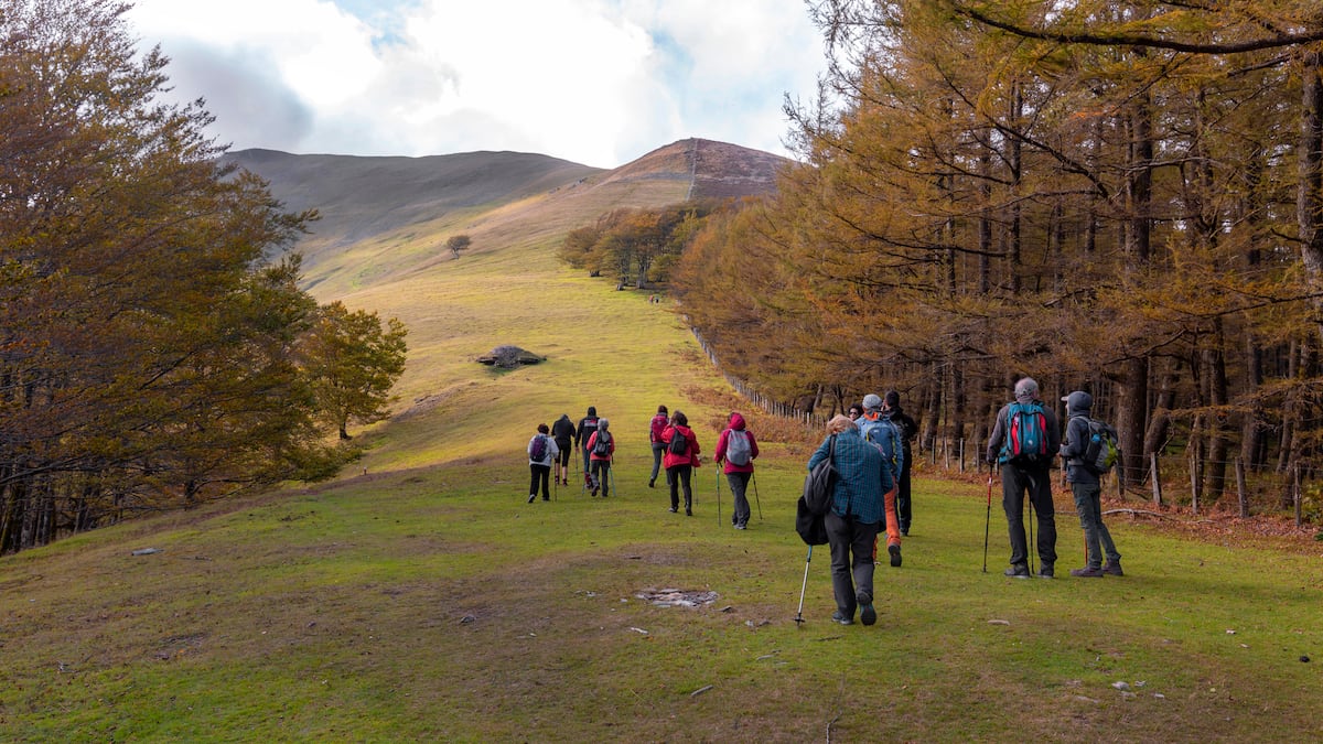 El otoño es un manjar de color y sabor en Navarra