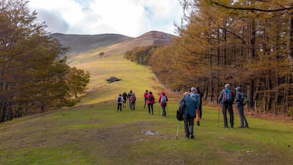 El bosque Quinto Real, al sur de los Pirineos, abarca más de 2.500 hectáreas de magnéticos colores. 