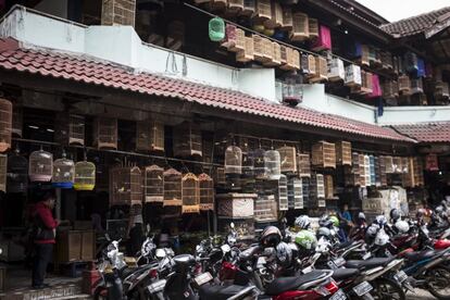 En los mercados de animales de Indonesia se venden hasta 19.000 ejemplares de aves de 206 especies diferentes.