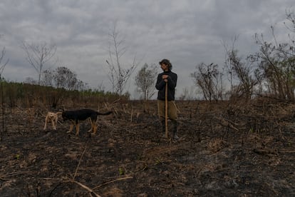 Fabian Ros, 53, trabalha com a madeira das sobras dos incêndios em Boca de la Milonga, uma das ilhas do rio Paraná na província argentina de Entre Ríos. O homem transforma madeiras 'sobreviventes' em belas peças de jardinagem e decoração. Todos na ilha o conhecem como "el flaco" ("o magro").