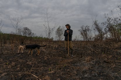 Fabian Ros, de 53 años, trabaja con la madera que rescata de los árboles caídos durante los incendios en la Boca de la Milonga, una de las islas del río Paraná en la provincia argentina de Entre Ríos. Utiliza esas maderas que sobrevivieron al fuego para convertirlas en hermosas piezas de jardinería y decoración. En la isla todos lo conocen como "el flaco".