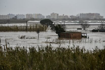 Zona agrícola anegada del Mas Valle, de Malgrat de Mar, tras la crecida del río Tordera, este miércoles.