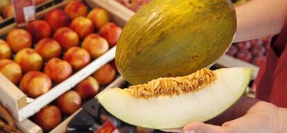 Un ejemplar de melón mochuelo en la frutería Gold Gourmet de Madrid.