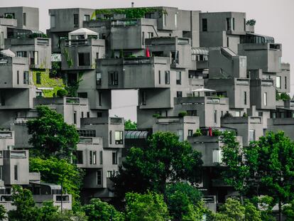 Manchas verdes en las ciudades que ilusionan a sus habitantes