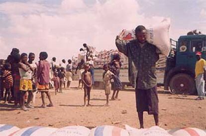 Descarga de ayuda alimentaria de la Cruz Roja en la aldea de Wassaro, en el norte de Etiopía.