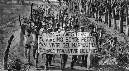 Imagen del libro 'Insurrección y revolución'.
