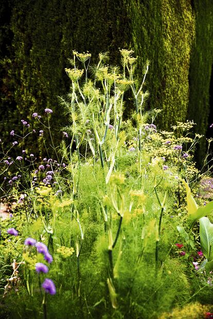 Una creación de Cristóbal Romera, jardinero (y Monet particular) del Generalife