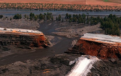 El 25 de abril de 1998, una enorme balsa de residuos mineros reventó y contaminó 62 kilómetros del cauce del río Guadiamar a las puertas de Doñana.