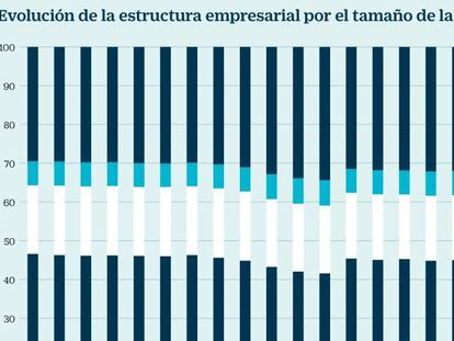 Evolución de la estructura empresarial por el tamaño de la plantilla