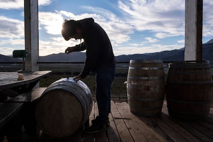 Uno de los trabajadores de la bodega Anatolia, en el Valle de Guadalupe (Baja California).