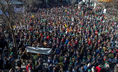 Agricultores y ganaderos de Castilla-La Mancha protestan por los bajos precios de sus productos, este martes, en Toledo. 