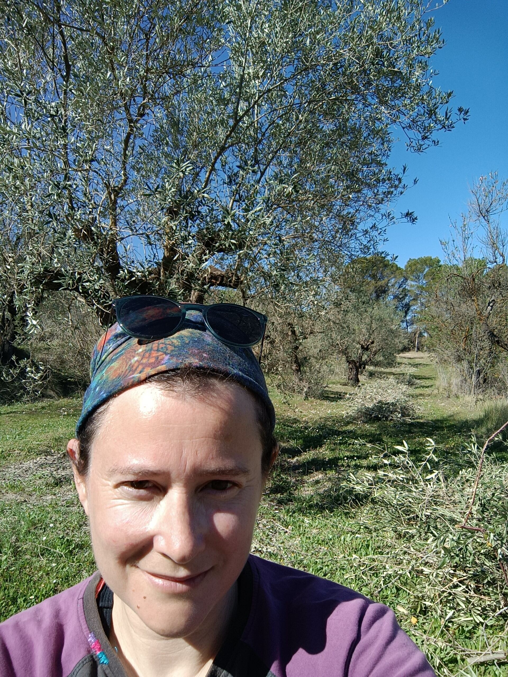 Rosa Gil, una productora de aceitunas ecológicas (L'Olivateria), de Planes (Alicante).