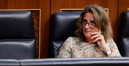 Teresa Ribera, vicepresienta para la Transición Ecológica.