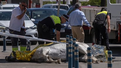 Una yegua muerta por deshidratación, cerca de la plaza de toros de La Maestranza de Sevilla, este miércoles.