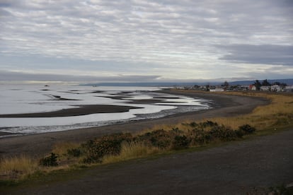 The displacement of the sea shore on the northern beach in Punta Arenas, Chile, this morning.