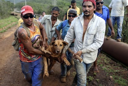 Homens resgatam um cachorro em Bento Rodrigues no sábado, dois dias após o tsunami de lama que invadiu a cidade em Minas Gerais. A Samarco, da Vale e da australiana BH, responsável pelas barragens com rejeitos de minério rompidas, está proibida de atuar na região