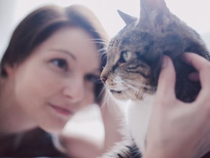 Cães e gatos também sofrem de depressão