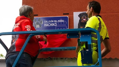 Placa en recuerdo de 'Hachiko', en Torres Bellas, Alcorcón.