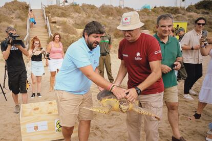 El presidente en funciones de la Región de Murcia, Fernando López Miras, ayuda a liberar un ejemplar de tortuga boba en la playa de la Carolina, en el espacio protegido de Cuatro Calas , en Águilas, en la Región de Murcia, este jueves.