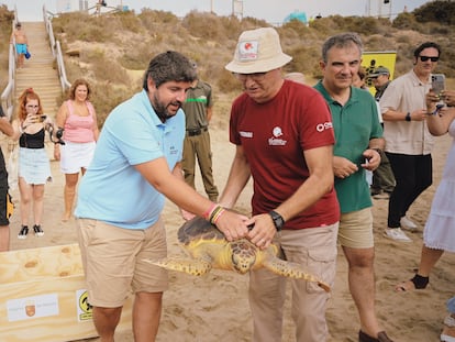 El presidente en funciones de la Región de Murcia, Fernando López Miras, ayuda a liberar un ejemplar de tortuga boba en la playa de la Carolina, en el espacio protegido de Cuatro Calas , en Águilas, en la Región de Murcia, este jueves.