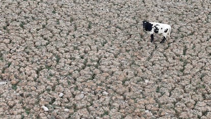 Imagen de la laguna de Aculeo en Paine, al sur de Chile, en enero de 2019 totalmente vacía por la sequías que azotan a la región.