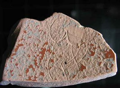Imagen de una de las piezas del yacimiento de Iruña-Veleia que refleja a una supuesta Venus. Algunos expertos aseguran que los atributos mamarios "no son de la época".