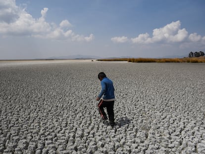 Una zona seca del lago Titicaca, en Bolivia, a finales de octubre.