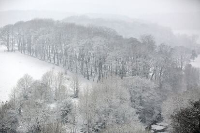 Una arboleda de Buxton, cubierta de nieve. Las previsiones apuntan a que el temporal va a continuar.