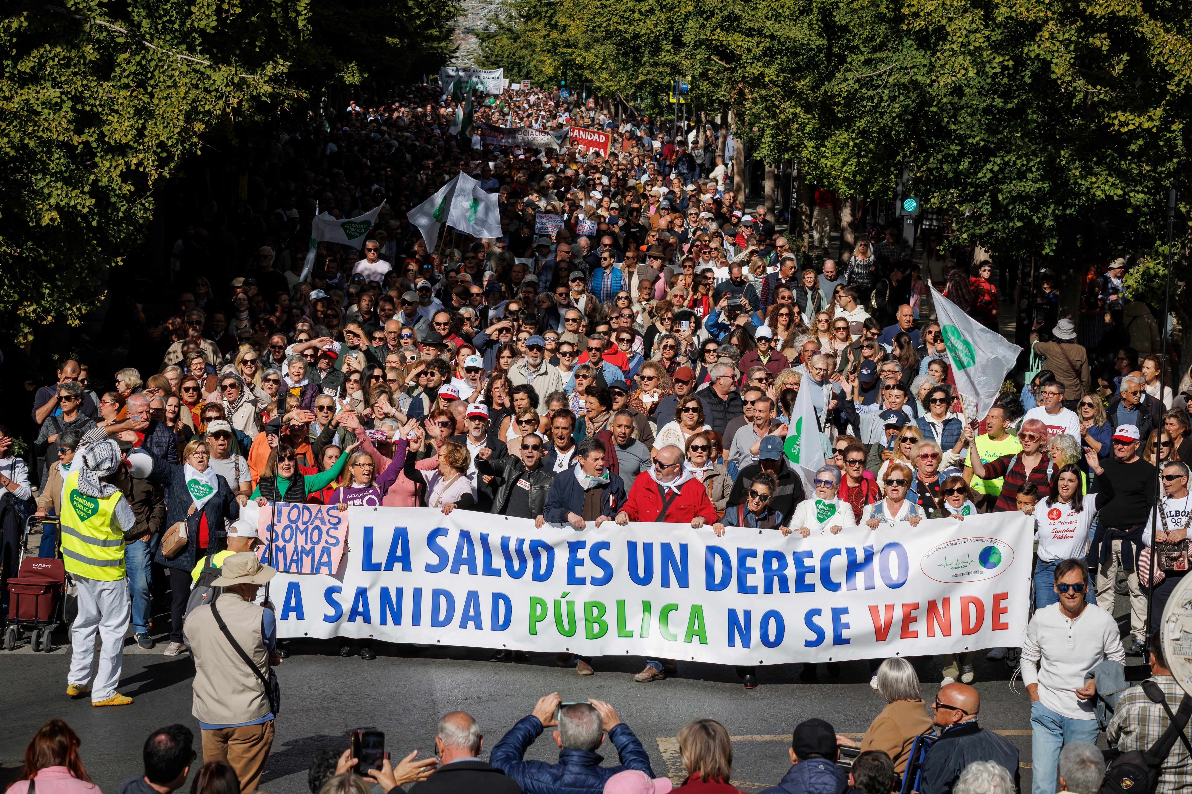 Manifestación por el centro de Granada en defensa de la sanidad pública en Andalucía. 