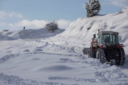 Un tractor limpia los accesos a una masía aislada en el término de Morella (Castellón).