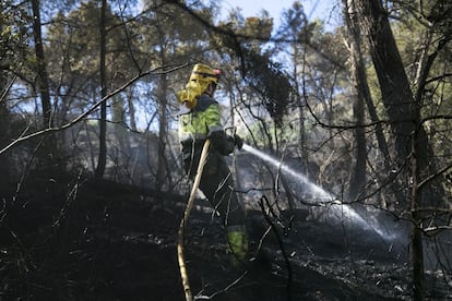 Un voluntario ADF trabaja en la tareas de extinción, esta mañana. La lluvia caída durante la noche ha facilitado la estabilización del fuego.