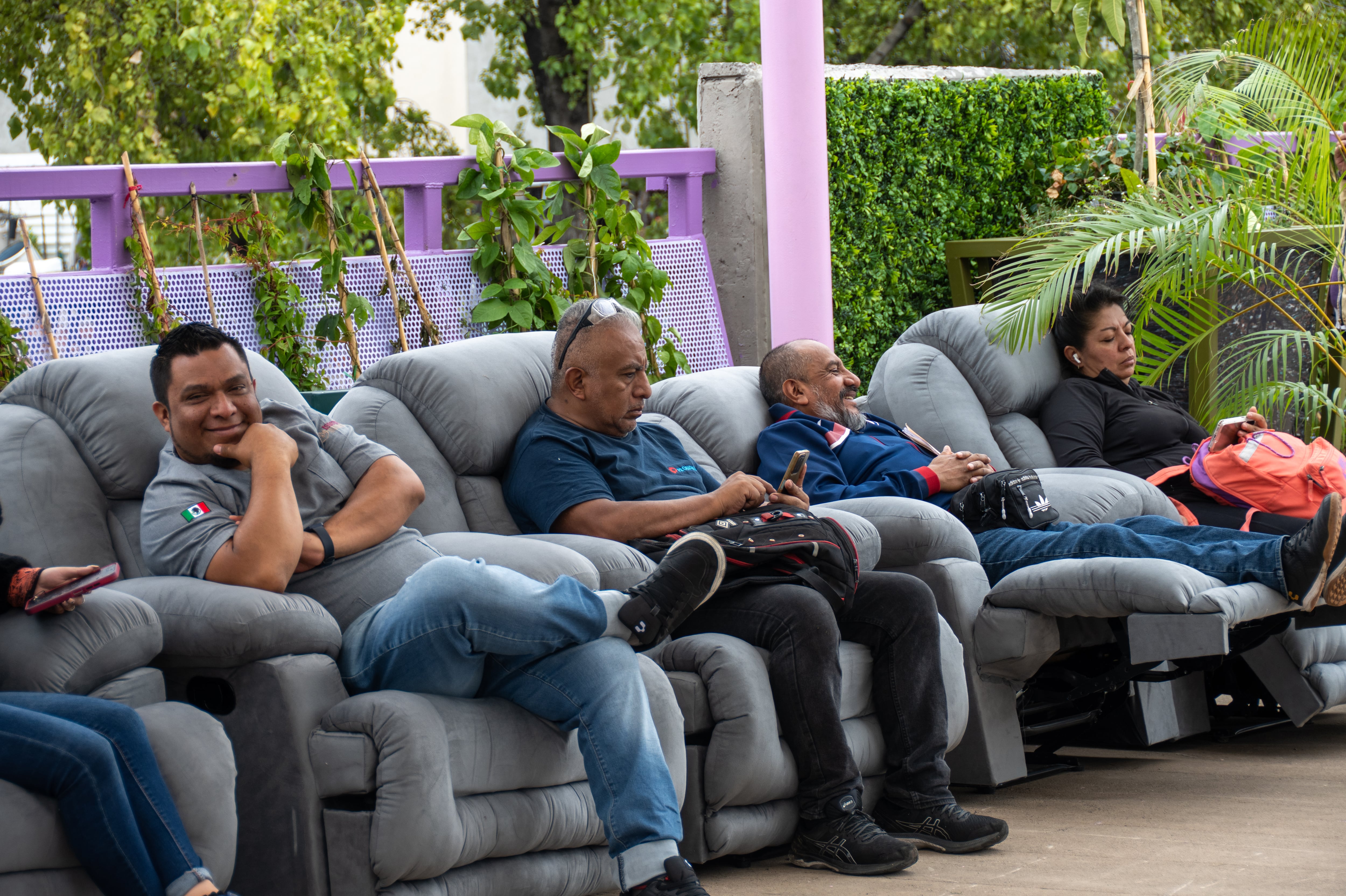 Un paseo por el jardín de la calzada elevada de Tlalpan: “Vinimos a verla antes de que se deteriore”