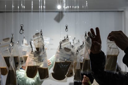 Detalle del 'café del presente', exhibido en la mesa del presente, en Centro.