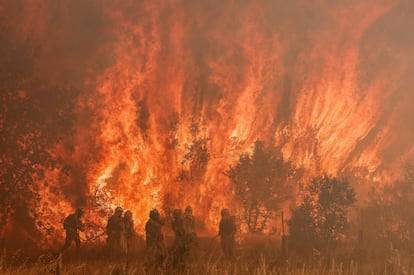 Los bomberos forestales luchaban contra montañas de fuego en Pumarejo de Tera (Zamora) el 18 de junio. 