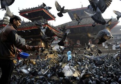 Un hombre alimenta palomas en la Plaza de Durbar en Katmandú (Nepal).