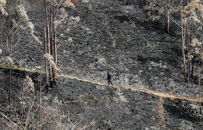 Zona quemada en el monte Naranco (Oviedo) el pasado 20 de abril.