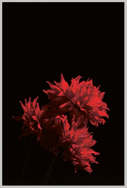 'Flower 055' (2008), imagen cedida por la galera