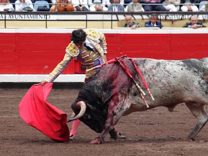 'Florista', tercer toro de la tarde, embiste humillado a la muleta de Luis David.