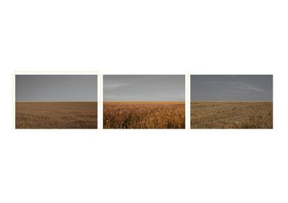 "Distancias relativas", perteneciente a la serie "Límites", de Macarena Gross. Tríptico de fotografías impresas con tintas pigmentadas en papel algodón.