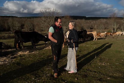 Daniel García y Lidia Sotelo, junto a sus vacas en Pedroso de la Carballeda.