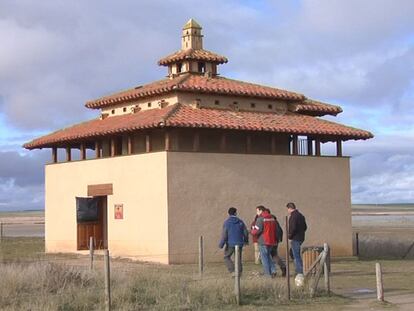A la 'caza' de la avutarda en Villafáfila
