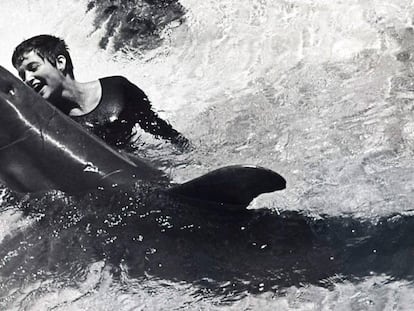Margaret Howe Lovatt con el delfín 'Peter' en un fotograma del documental 'The girl who talked to dolphins' (2014).