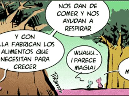 RAMÓN
