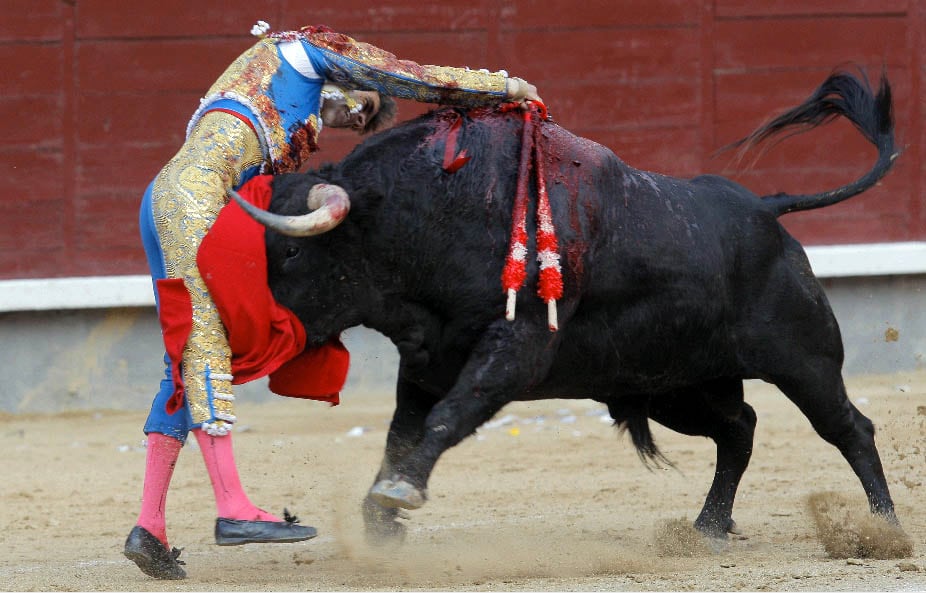 Cogida de José Tomas en la temporada de 2008, en la plaza de Las Ventas.