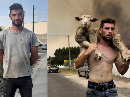 João Paulo Ruivo, en la aldea de Boa Vista (Leiria), dos días después del incendio y durante el rescate de una oveja herida el martes.