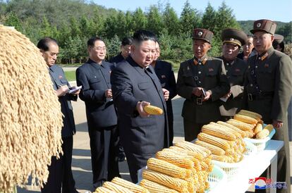 El líder norcoreano, Kim Jong Un, visita una granja de la Unidad 810 de KPA.