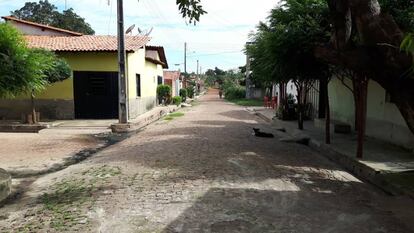 Juízo mostra que Governo brasileiro fiscaliza, mas não pune trabalho escravo