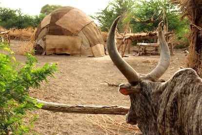 T&iacute;pica casa afar, llamadas ari, en Asayita