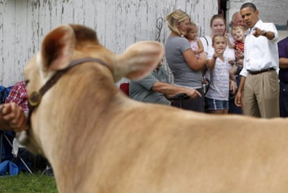 Obama mira unas reses que participan en un concurso vacuno durante su visita a Morrison (Illinois).